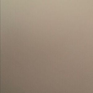 REVICE Women's Straight Leg Jeans - Tan